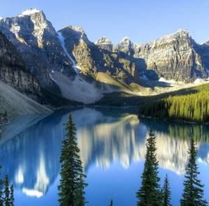 Meet your Posher, Jerry